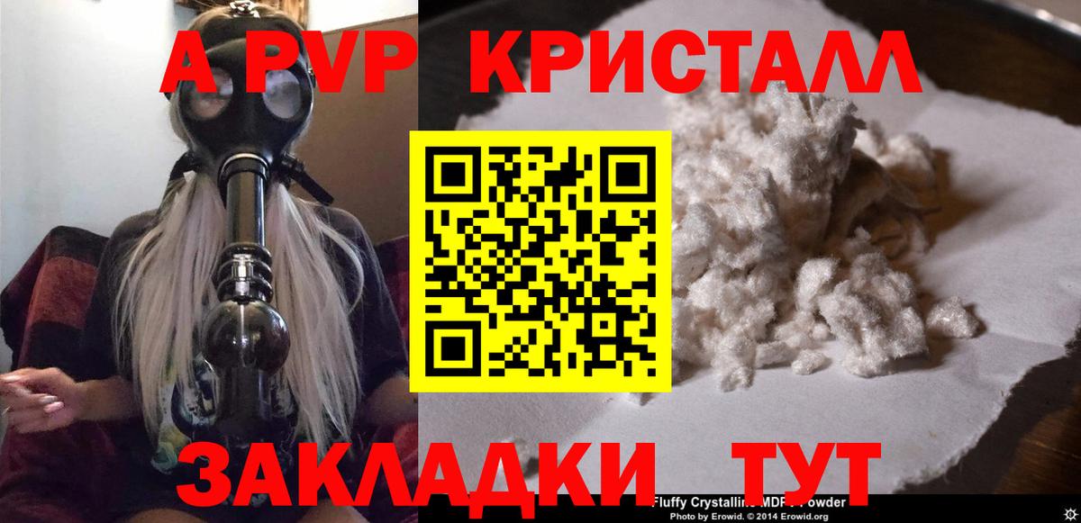 Альфа ПВП СК КРИС Кировск