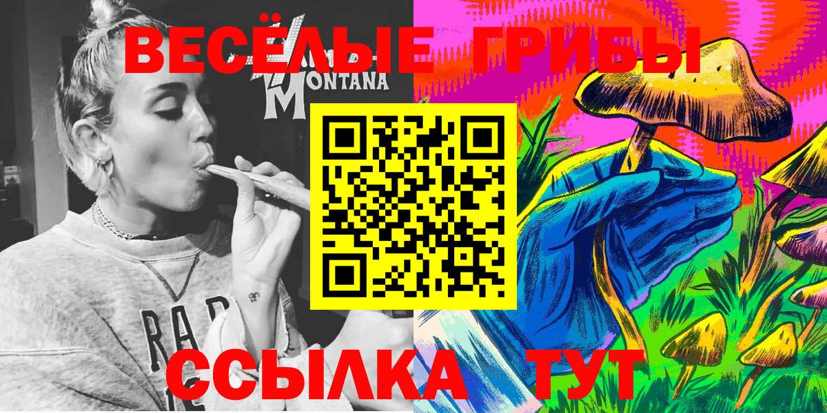 Псилоцибиновые грибы ЛСД  Вход с VPN  Кировск  Псилоцибиновые грибы мухоморы 