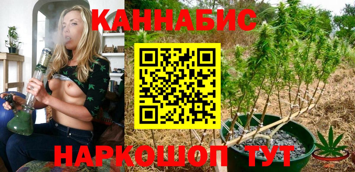 Кировск  Шишки марихуана индика  Марихуана OG Kush  Вход с VPN  Шишки марихуана тримм  Каннабис White Widow 